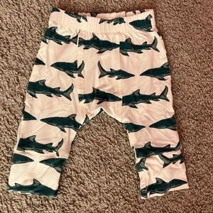 Kate Quinn adorable pants in a shark print